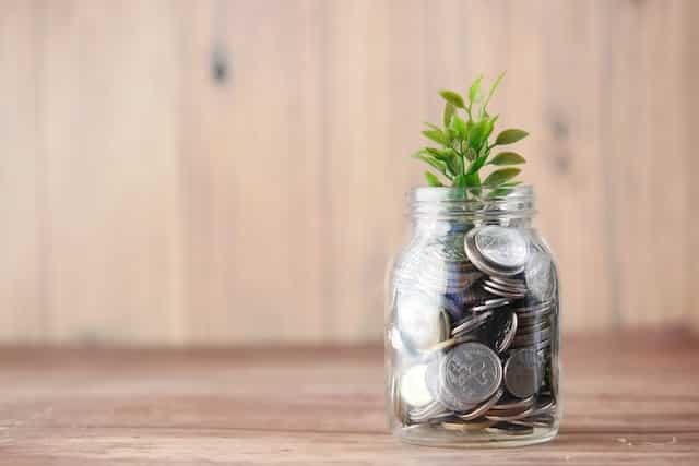 foto de ahorros e inversion jarron monedas y planta